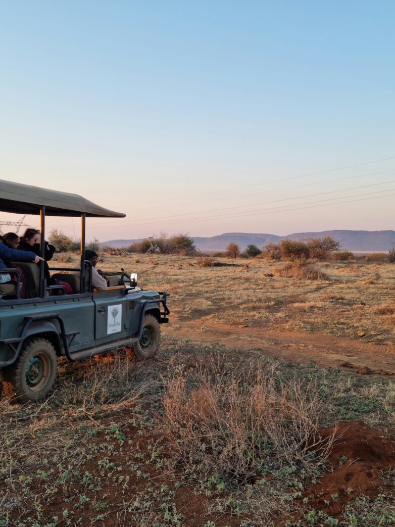 Safari met kids in Madikwe Game Reserve