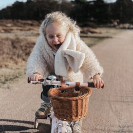 Winter village Laren
