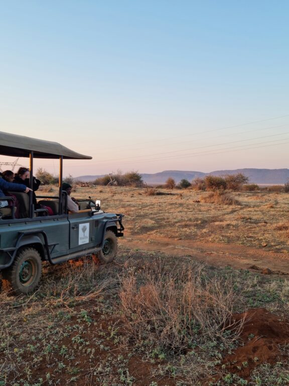 Safari met kids in Madikwe Game Reserve